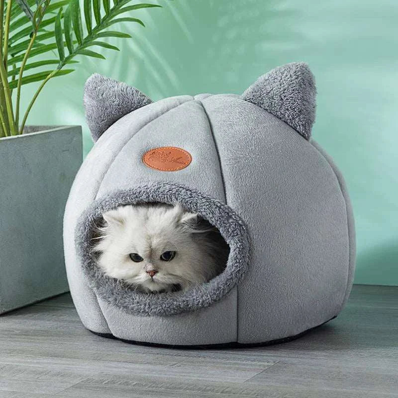 Deep Sleep Comfort In Winter Cat  House