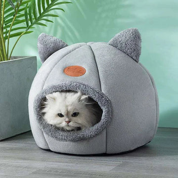 Deep Sleep Comfort In Winter Cat  House