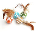 Bell Mouse Cage Toys - Cat Teaser with Wand & Feather