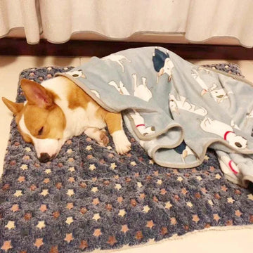 Soft Flannel Pet Mat Thicken Warm puppy Sleeping Bed