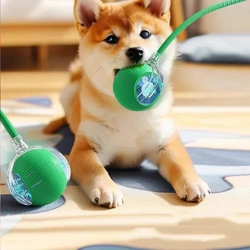 Electronic Interactive Pet Toy Smart Dog Toy